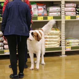 photograph by PeterW